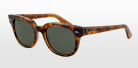 Ray Ban 4168